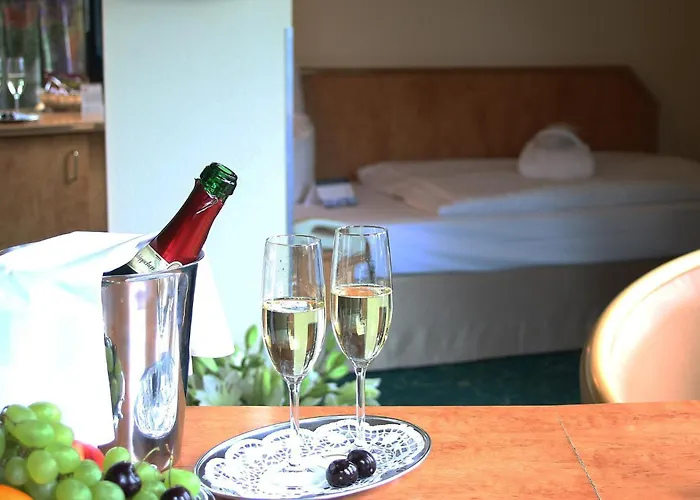 城市公园酒店 3* 奥得河畔法兰克福